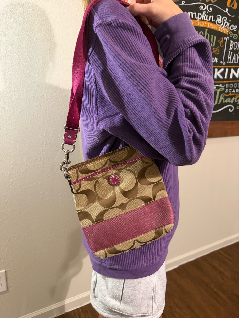 Coach Y2K signature stipe swing pack with berry pink accents.